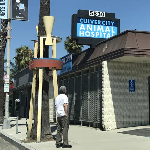 Culver City Animal Hospital Picture 9
