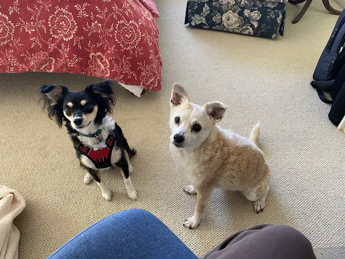 Family Pet Clinic of Redondo Beach Picture 4