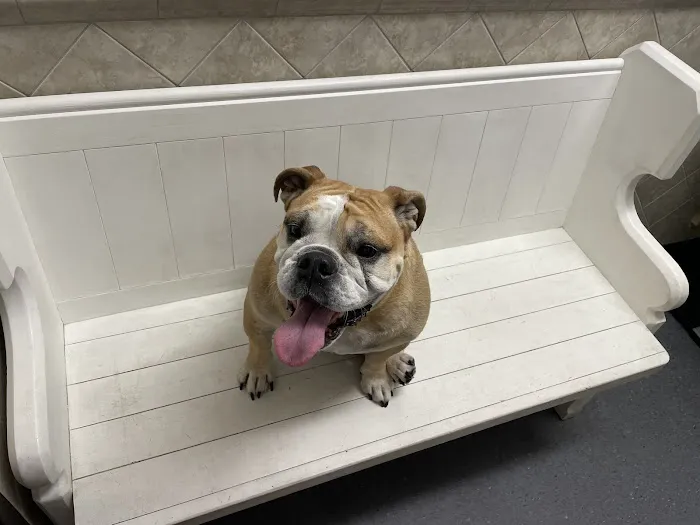Family Pet Clinic of Redondo Beach Picture 8