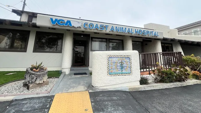 VCA Coast Animal Hospital Picture 4