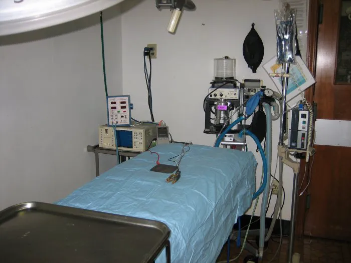 VCA Coast Animal Hospital Picture 9
