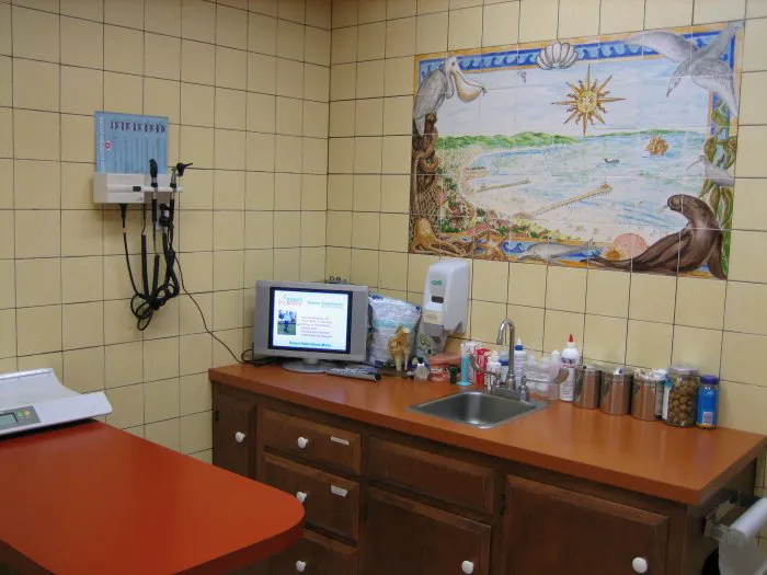 VCA Coast Animal Hospital Picture 6