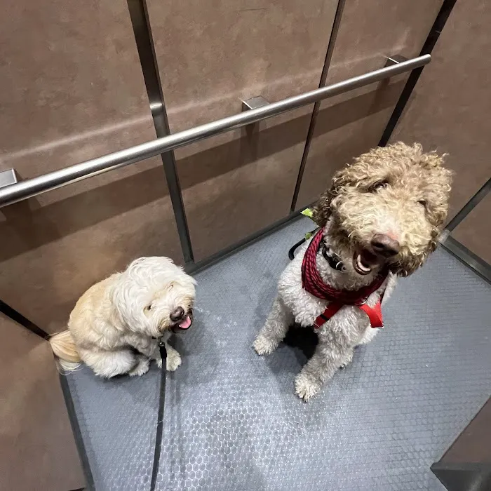 PAW Veterinary Center Picture 5
