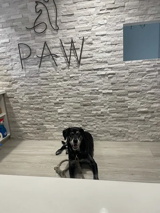 PAW Veterinary Center Picture 6