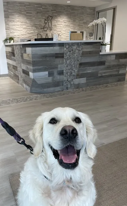 PAW Veterinary Center Picture 10
