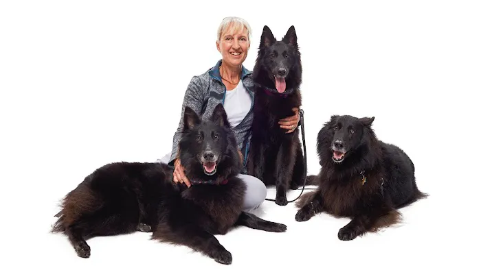VCA Advanced Veterinary Care Center Picture 4