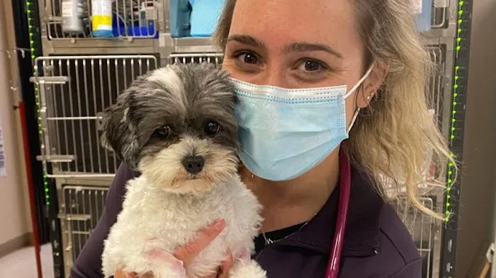 VCA Advanced Veterinary Care Center Picture 7