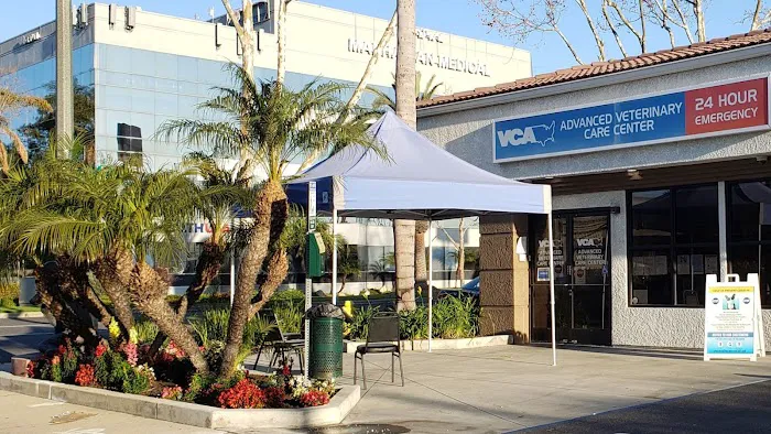 VCA Advanced Veterinary Care Center Picture 5