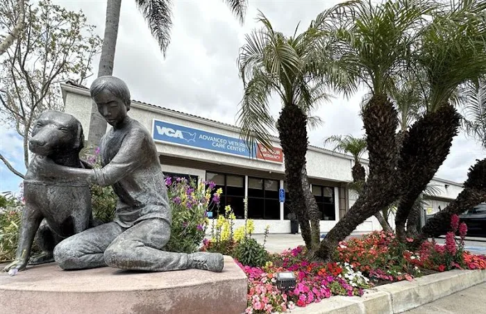 VCA Advanced Veterinary Care Center Picture 8