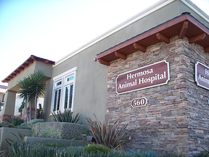 VCA Hermosa Animal Hospital Picture 5