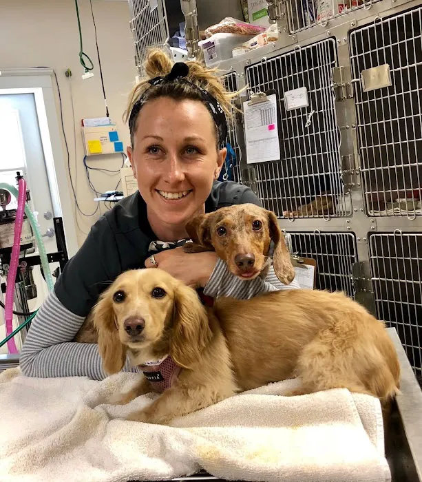 VCA Hermosa Animal Hospital Picture 9