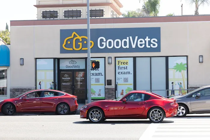 GoodVets Hermosa Beach Picture 4