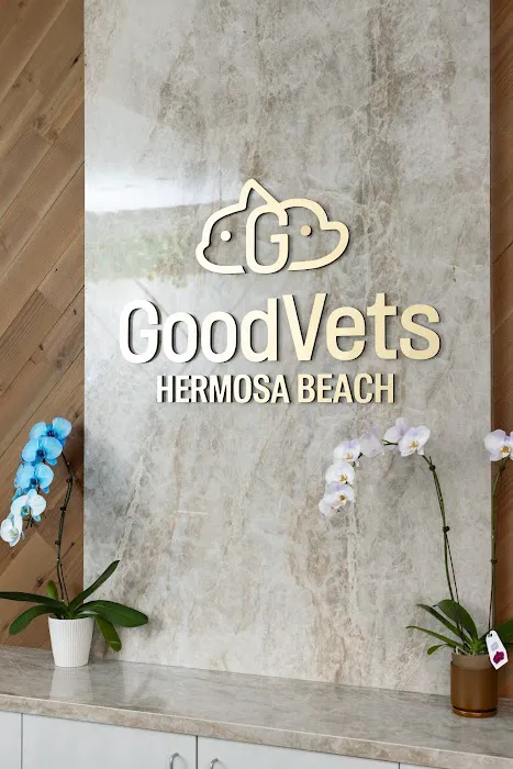 GoodVets Hermosa Beach Picture 9