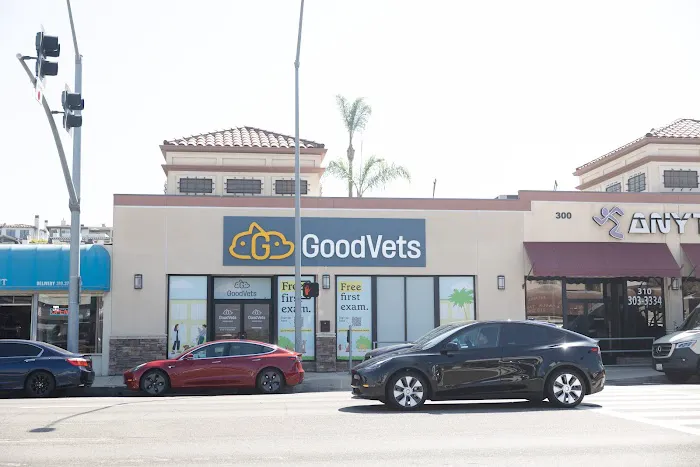GoodVets Hermosa Beach Picture 8