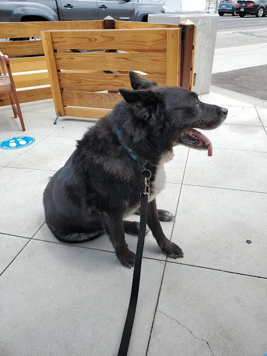Redwood Animal Hospital Picture 6