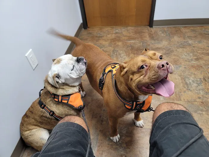 Redwood Animal Hospital Picture 9