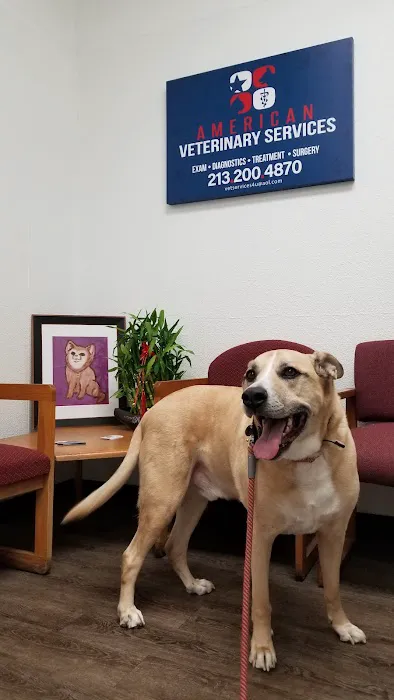 Pet Clinic Picture 3