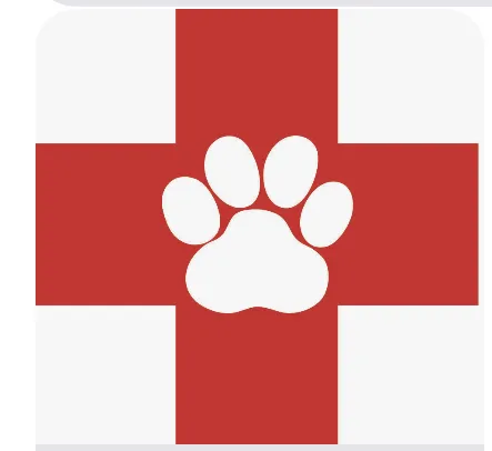 Pet Clinic Picture 6