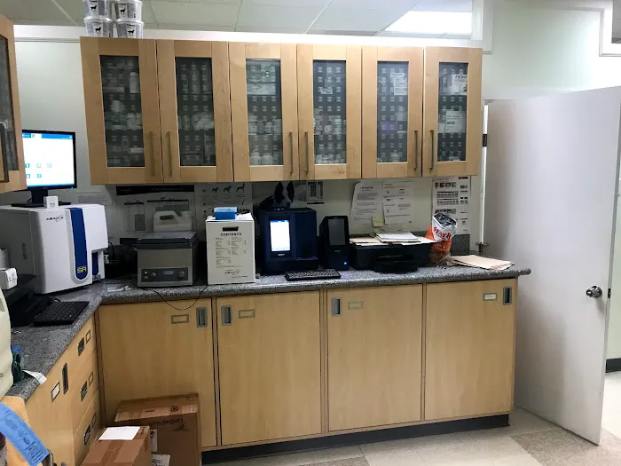 Pet Clinic Picture 5