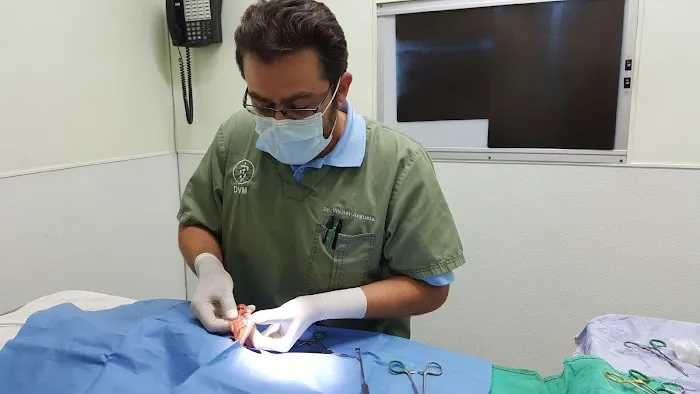 American Veterinary Services Picture 3