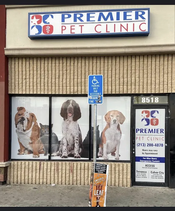 American Veterinary Services Picture 5
