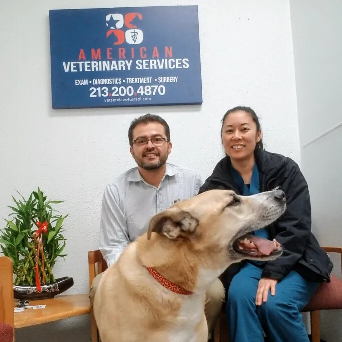American Veterinary Services Picture 9