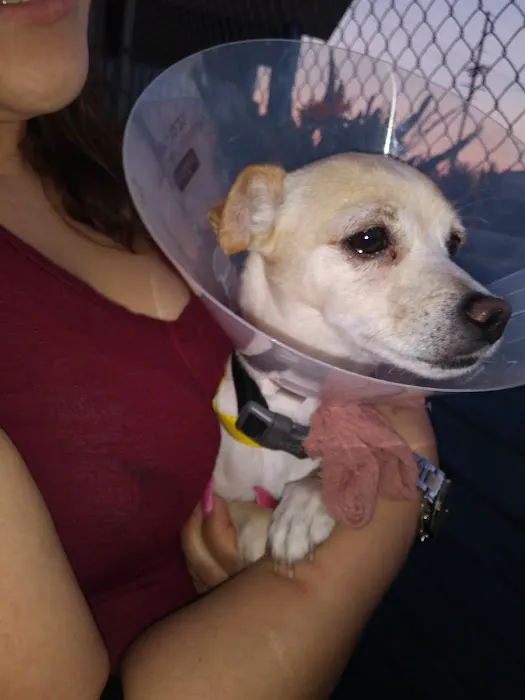 ARK ANIMAL HOSPITAL Picture 1