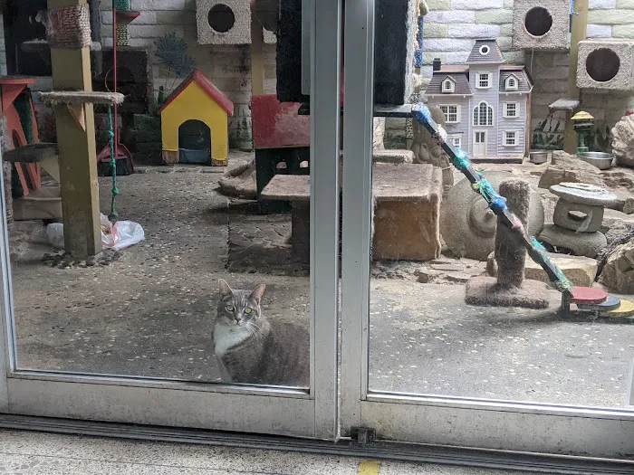 ARK ANIMAL HOSPITAL Picture 4