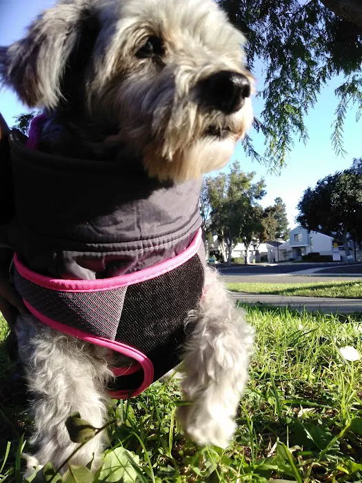 ARK ANIMAL HOSPITAL Picture 9