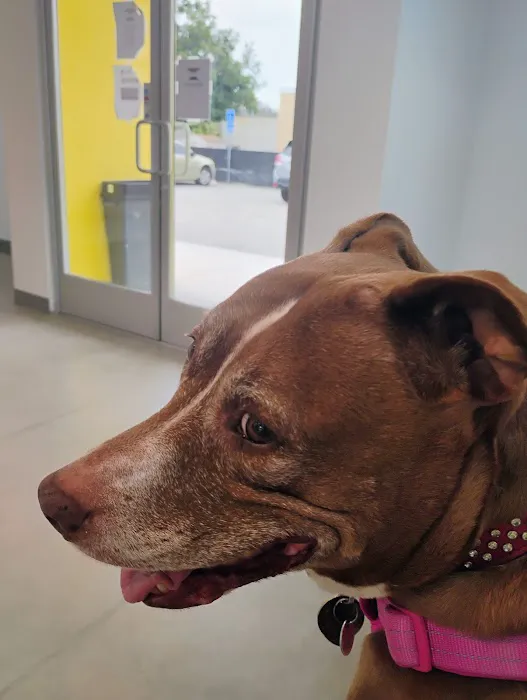 Los Angeles Veterinary Center Picture 1