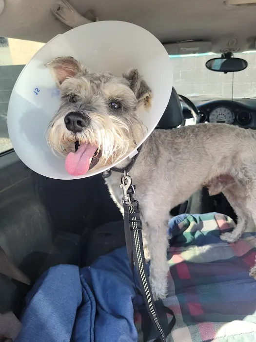 Los Angeles Veterinary Center Picture 3