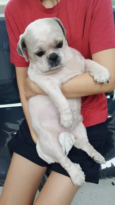 Western Animal Hospital Picture 5
