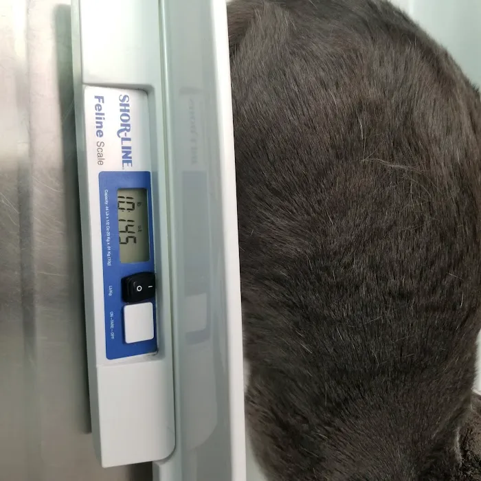 Washington Dog and Cat Hospital Picture 6