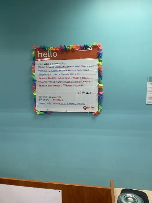 Banfield Pet Hospital Picture 2