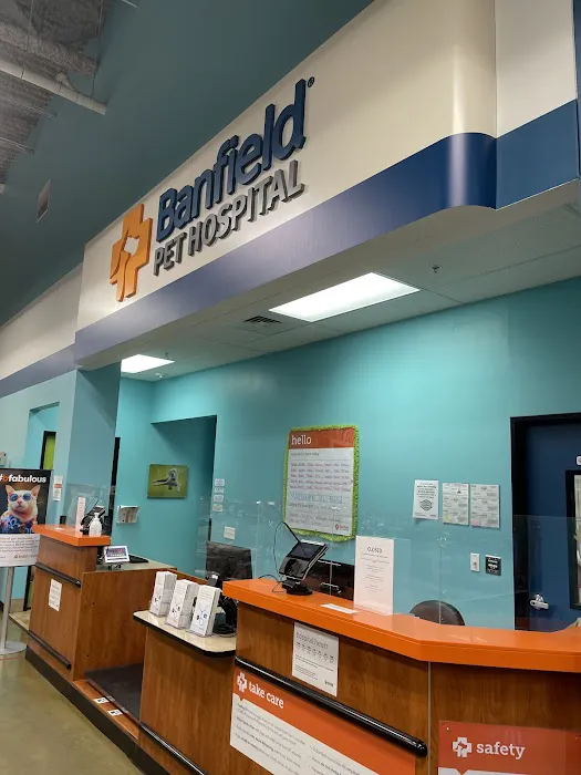 Banfield Pet Hospital Picture 4