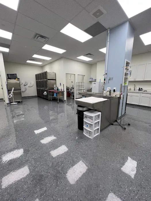 Vermont Animal Hospital Picture 7