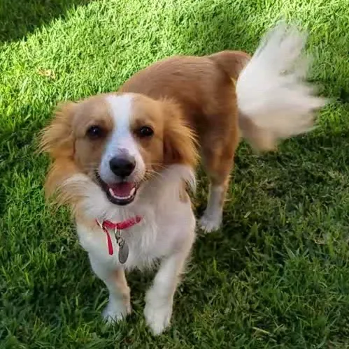 Alondra Animal Hospital Picture 6