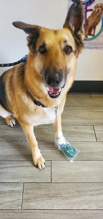 Alondra Animal Hospital Picture 8