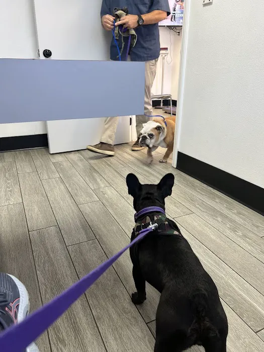 Alondra Animal Hospital Picture 10