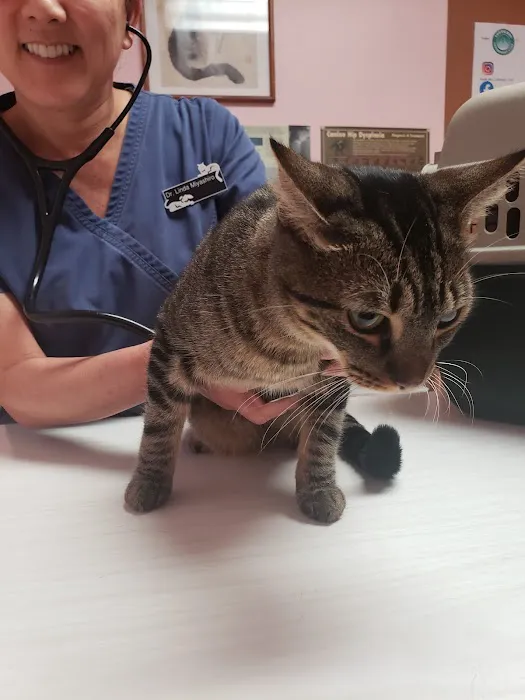 South Bay Veterinary Care ( Veterinary Hospital ) Picture 1