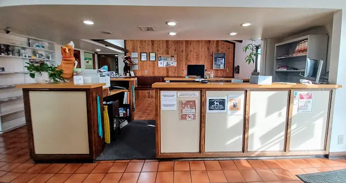 South Bay Veterinary Care ( Veterinary Hospital ) Picture 6