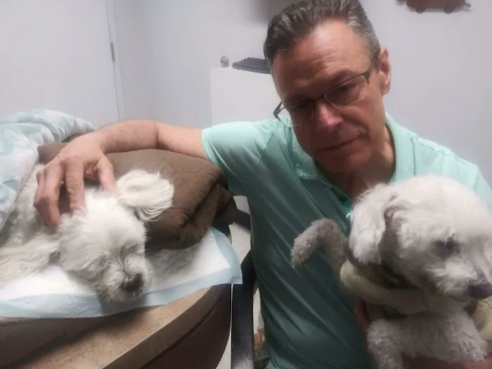 Animal Specialty Group Inc: Sullivan Stacey DVM Picture 5