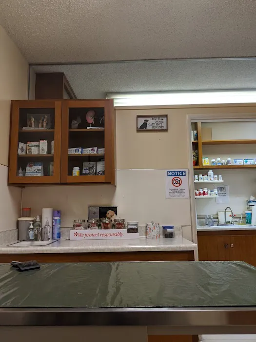 Altadena Pet Hospital Picture 8