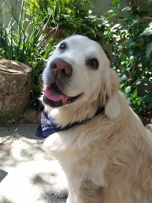 Banfield Pet Hospital Picture 7