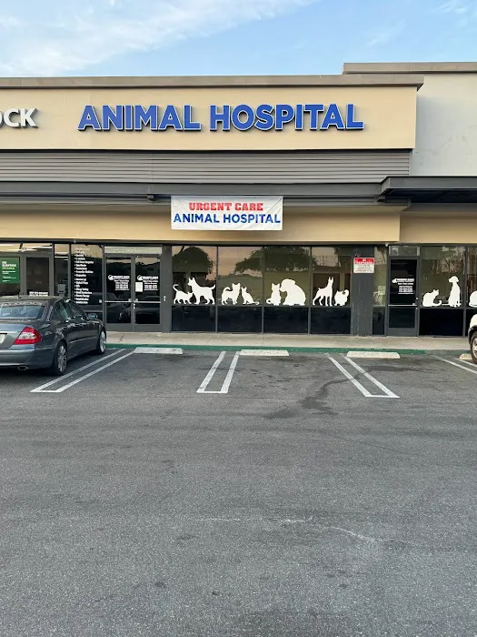 Urgent Care Animal Hospital Picture 1