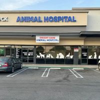 Urgent Care Animal Hospital ico