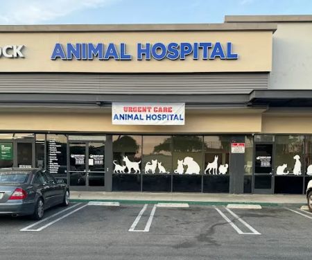 Urgent Care Animal Hospital