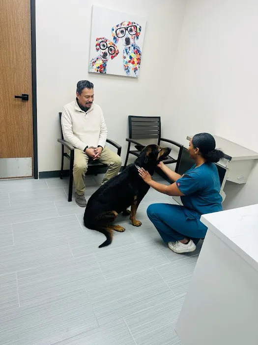 Urgent Care Animal Hospital Picture 10