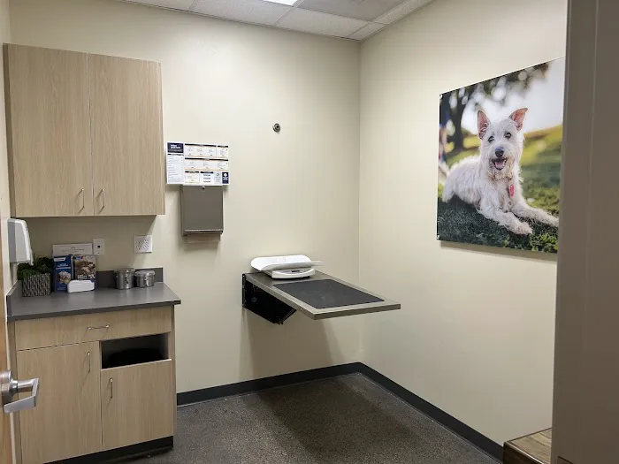 Vetco Total Care Animal Hospital Picture 8