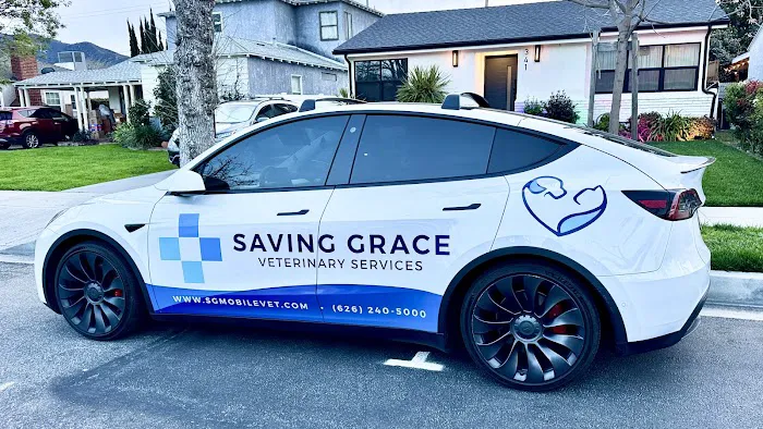 Saving Grace Mobile Veterinary Services Picture 2